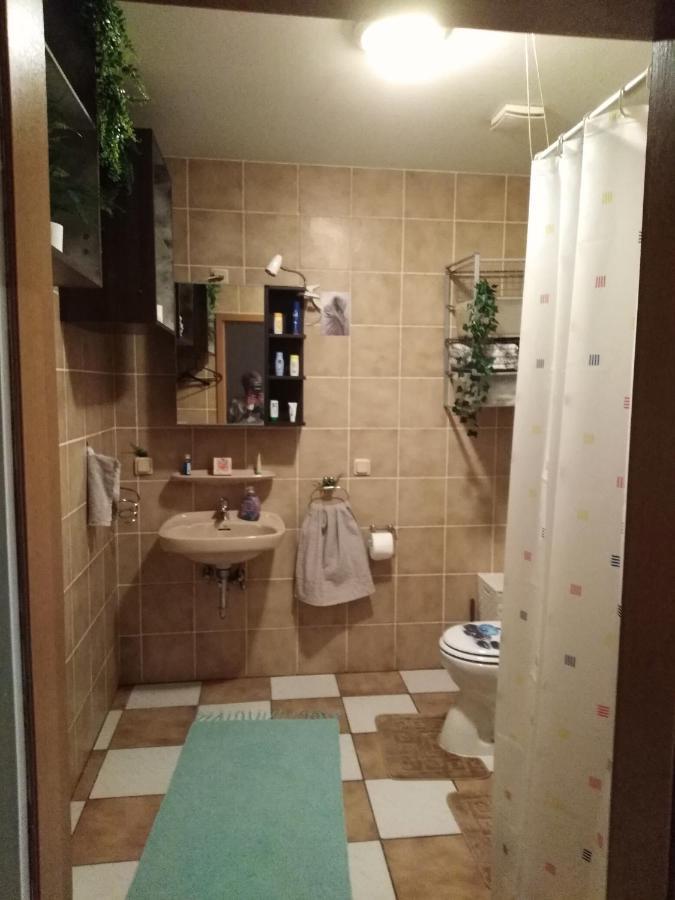 Studiowohnung, Neu Renoviert, Zentrale Lage Saarlouis Exteriör bild